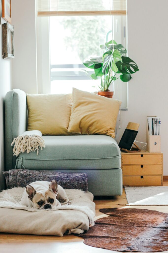 inside home